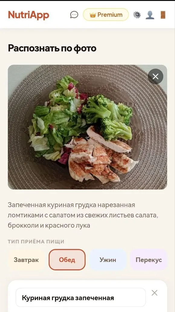 Food photo recognition — NutriApp